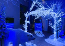 Winter Wonderland Themed Event